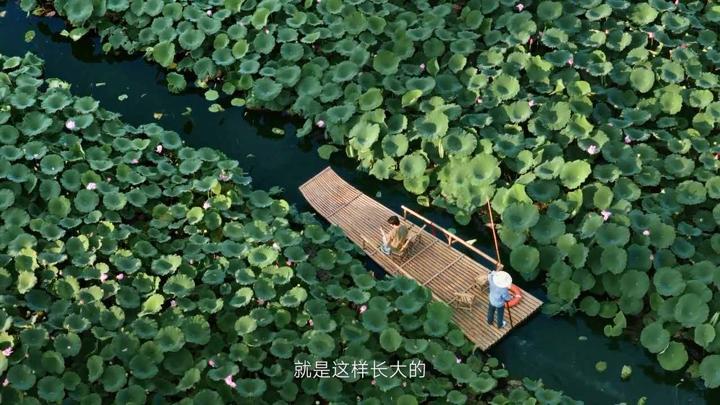 小米 · 生活总有新预期 画面